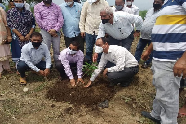 Director Horticulture conducts extensive field visit of Distt Jammu