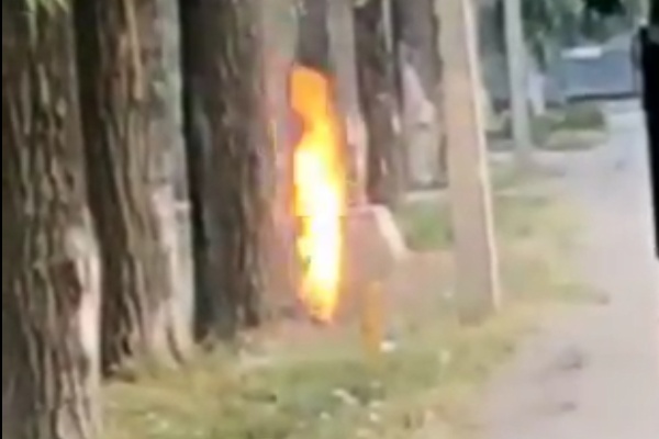 Improvised Explosive Device Found on Srinagar-Baramulla Road Defused